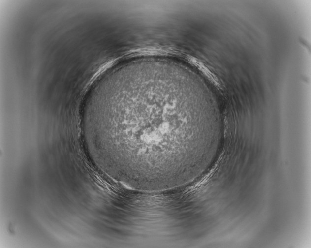 X0000096451213200802071803