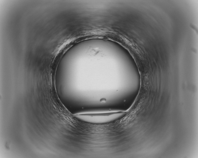 X0000096451214200802071803