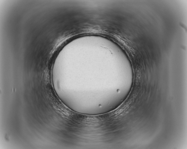 X0000096451215200802071803