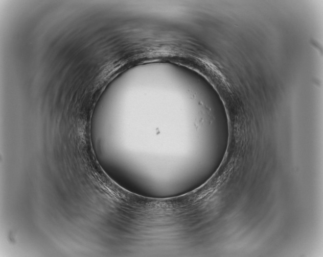 X0000096451217200802071803