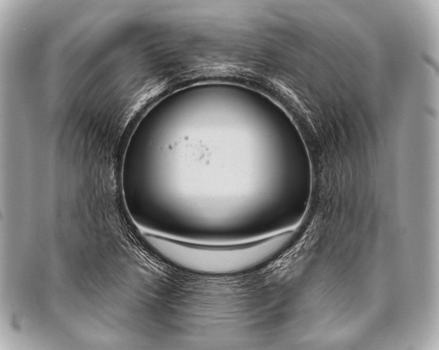 X0000096451218200802071803