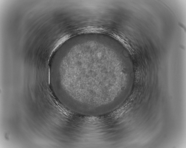 X0000096451219200802071803