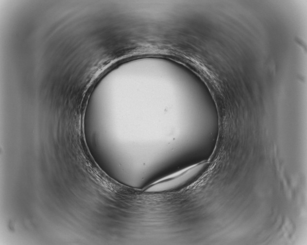 X0000096451220200802071803