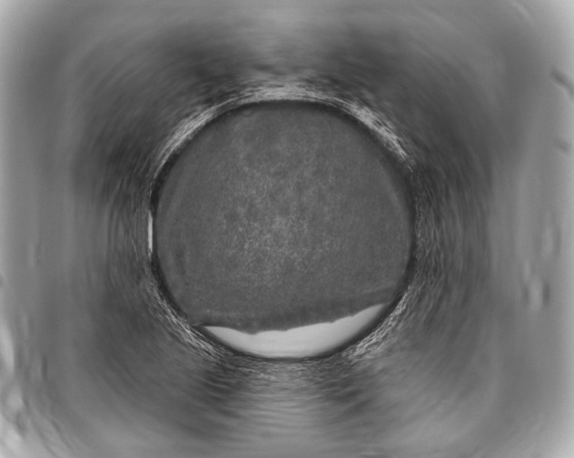 X0000096451221200802071803