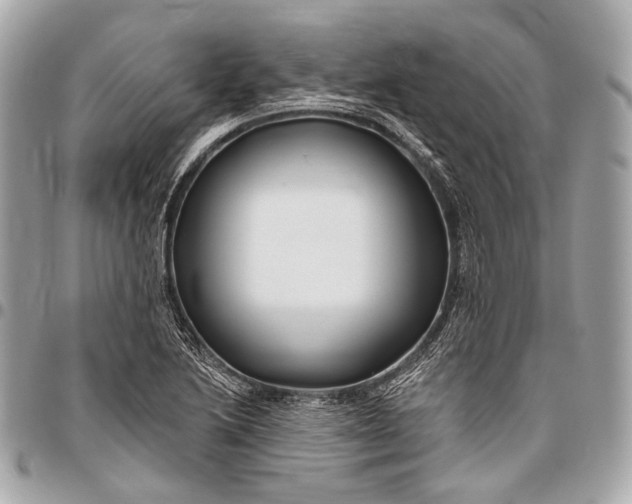 X0000096451222200802071804