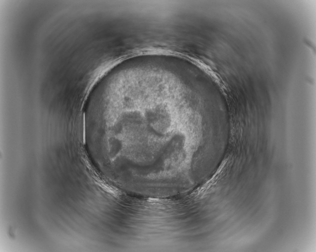 X0000096451223200802071804