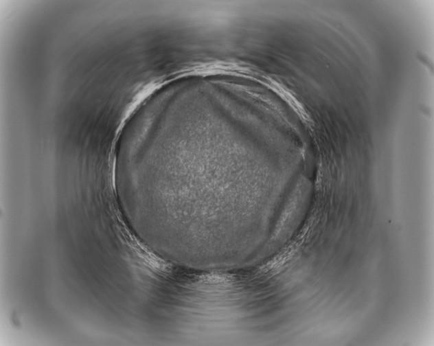 X0000096451224200802071804