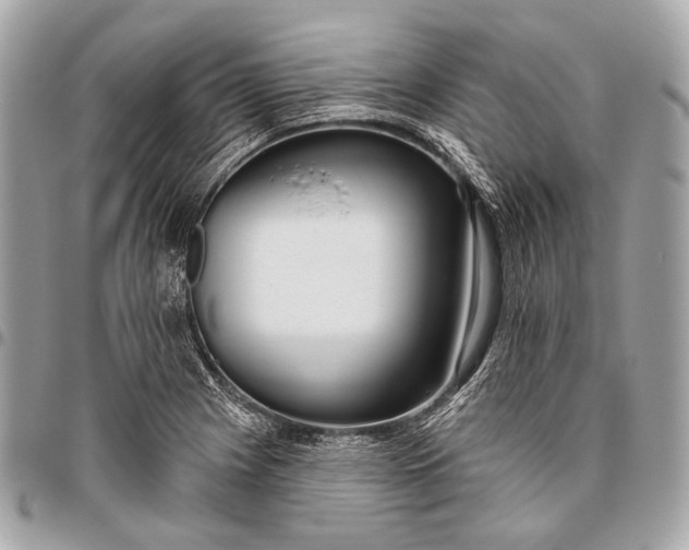 X0000096451225200802071804