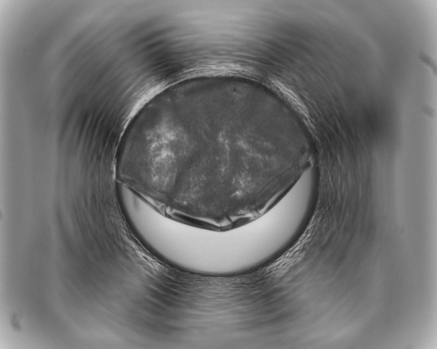 X0000096451226200802071804