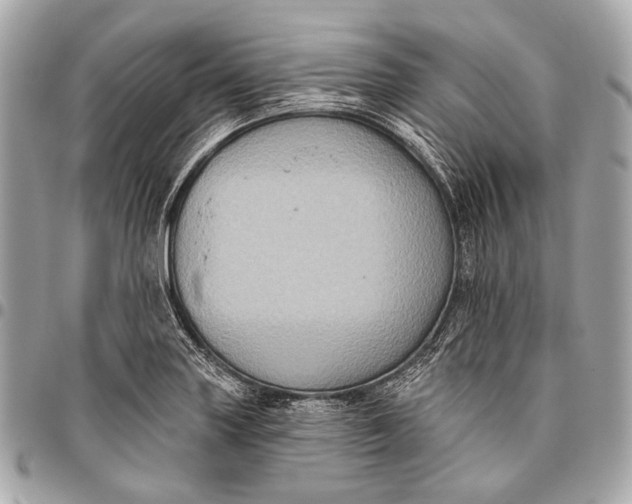 X0000096451227200802071804