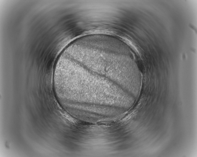 X0000096451228200802071804