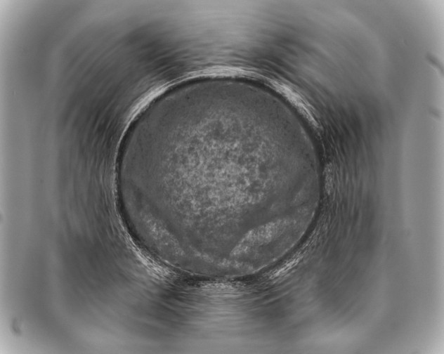 X0000096451229200802071804