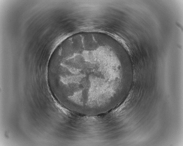 X0000096451231200802071804