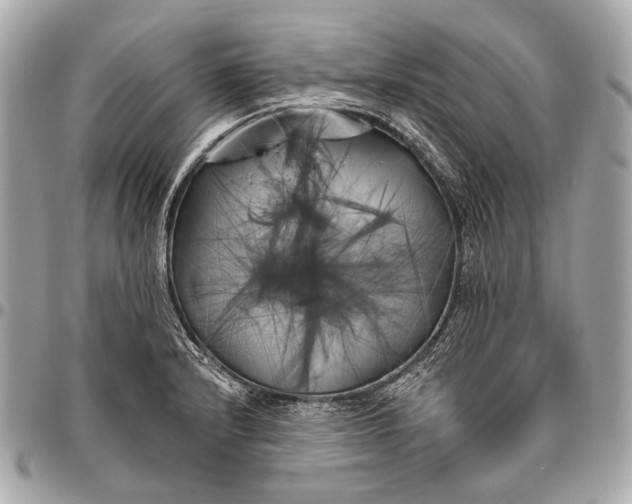 X0000096451232200802071804