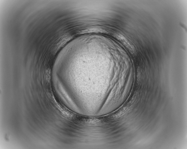 X0000096451233200802071804