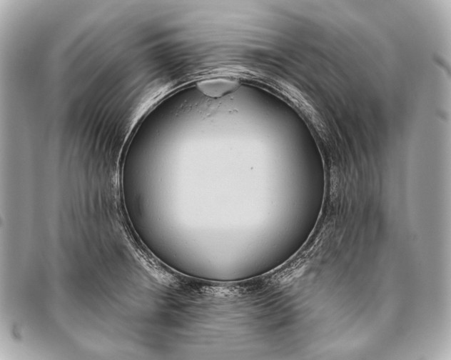 X0000096451234200802071804