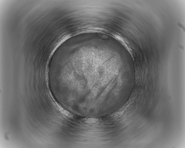 X0000096451235200802071804