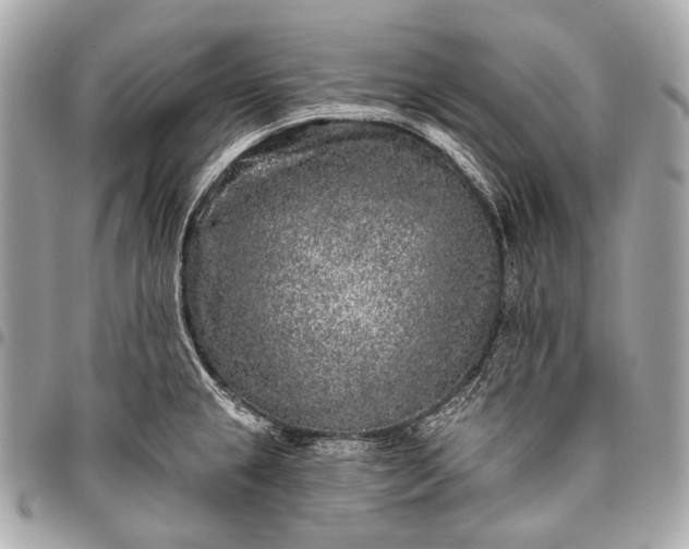 X0000096451237200802071804