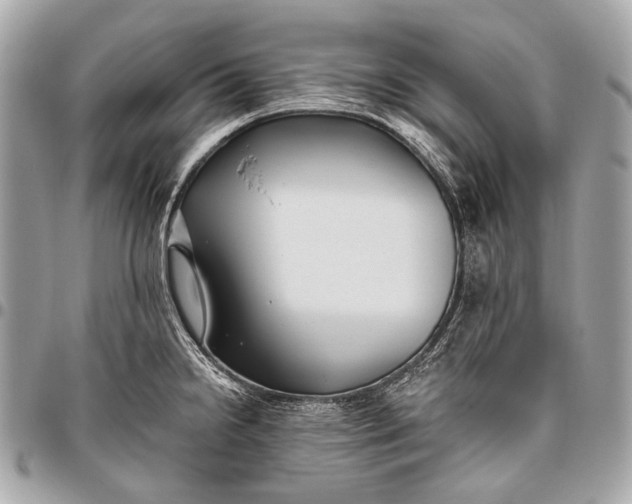 X0000096451238200802071804