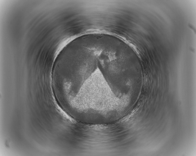 X0000096451239200802071804