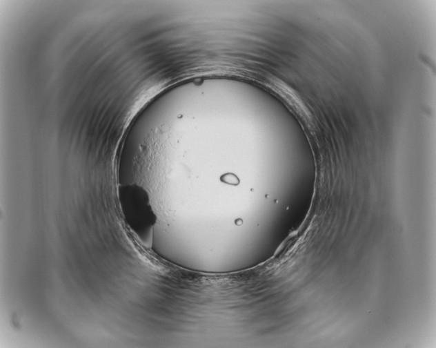 X0000096451242200802071804