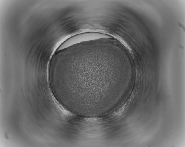 X0000096451246200802071804