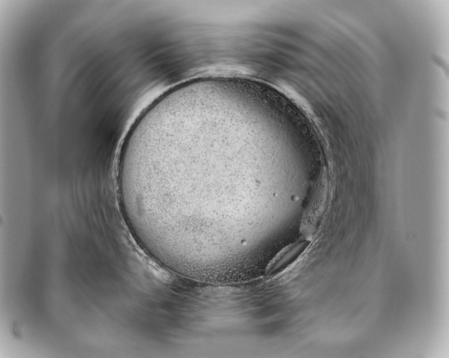 X0000096451248200802071804