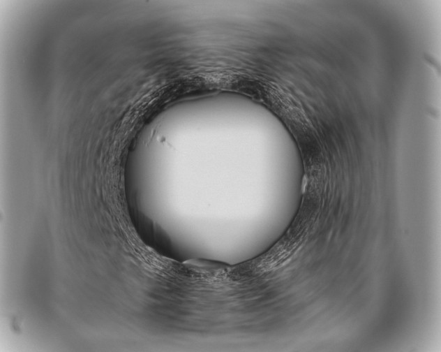 X0000096451249200802071803