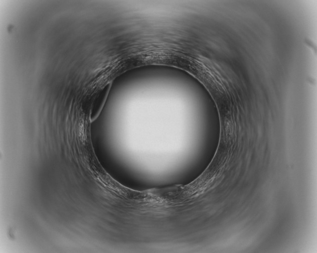 X0000096451250200802071803