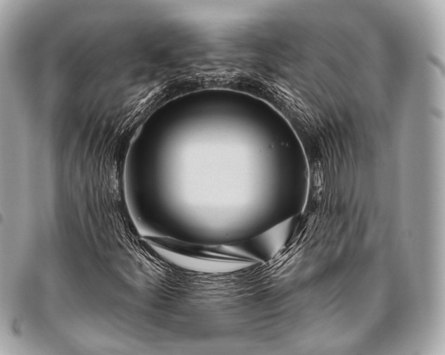 X0000096451252200802071803