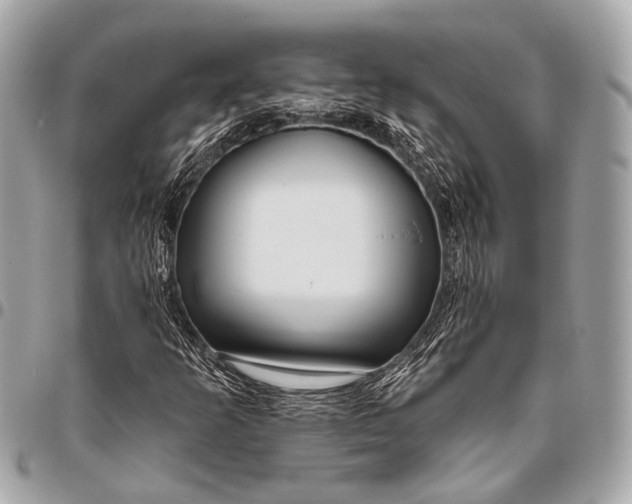 X0000096451253200802071803