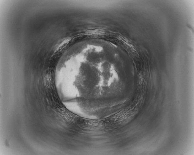 X0000096451254200802071803