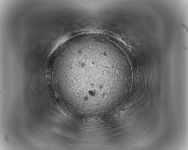 X0000096451255200802071803