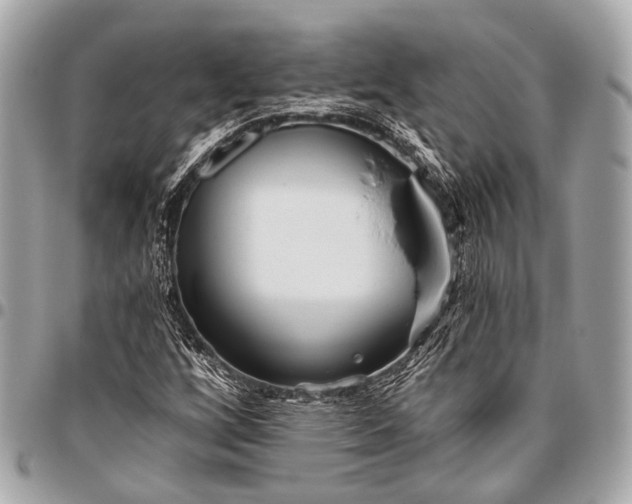 X0000096451256200802071803