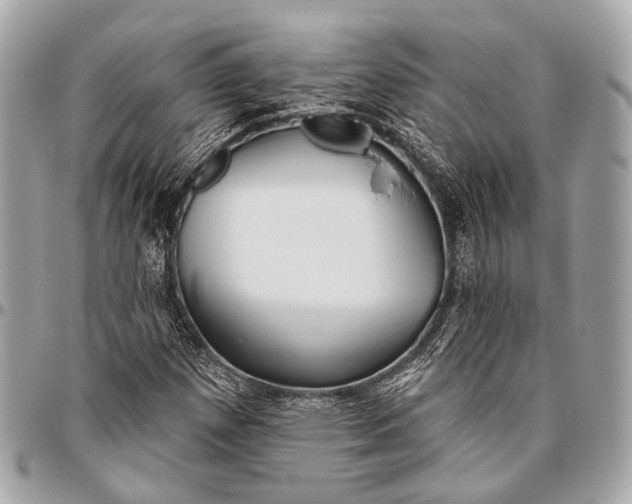 X0000096451257200802071803