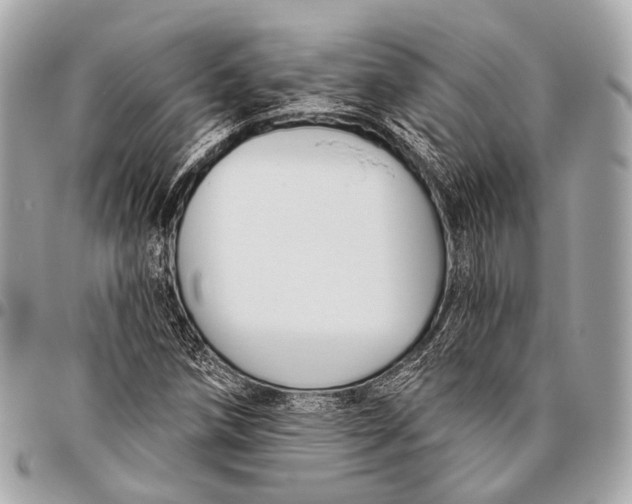 X0000096451258200802071803