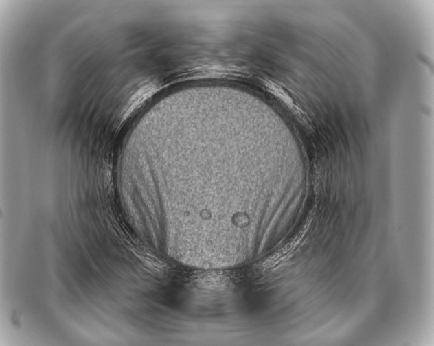 X0000096451259200802071803