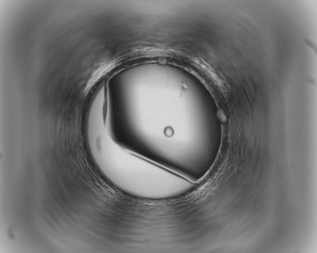 X0000096451261200802071803