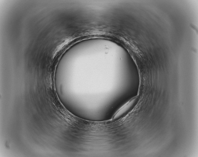 X0000096451262200802071803