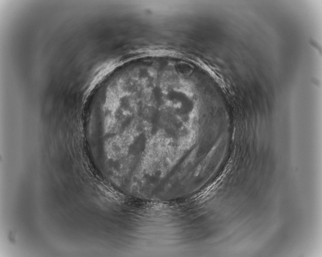 X0000096451263200802071803