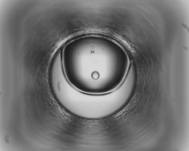 X0000096451264200802071803