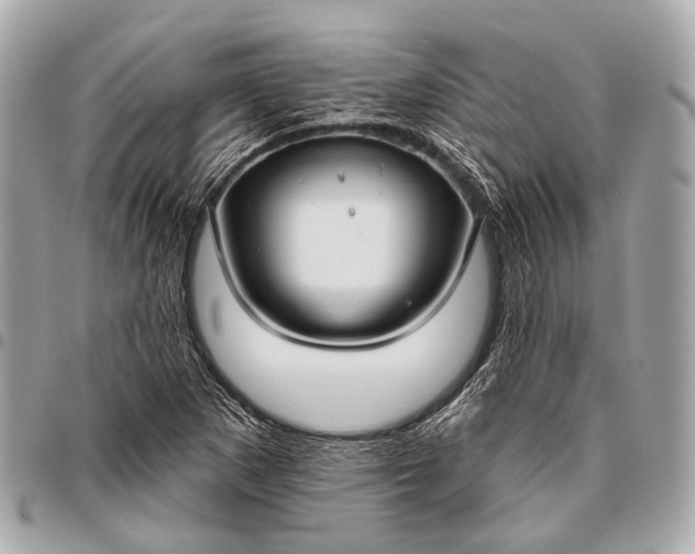 X0000096451265200802071803