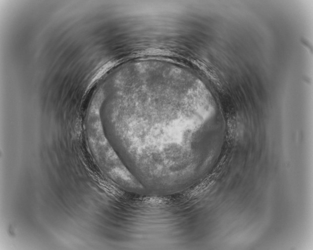 X0000096451266200802071803