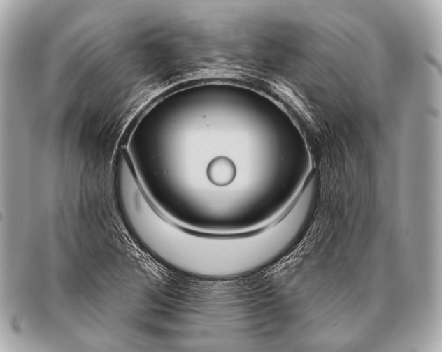 X0000096451268200802071803