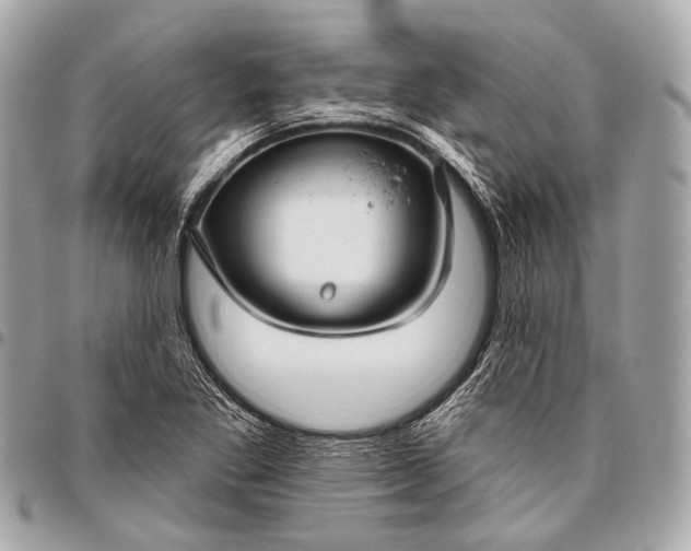 X0000096451269200802071803