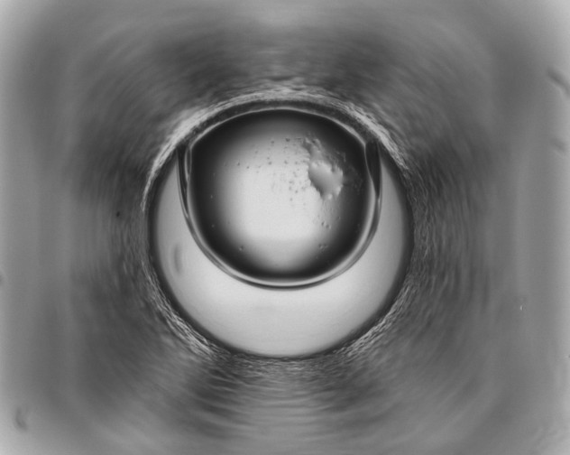 X0000096451270200802071803