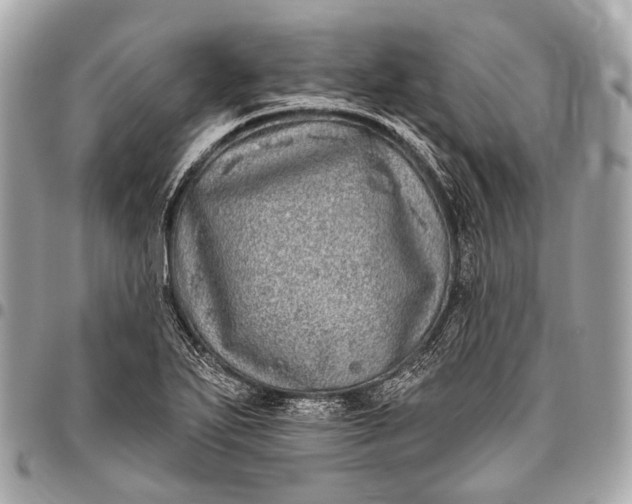 X0000096451271200802071803