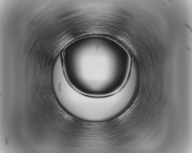 X0000096451273200802071803