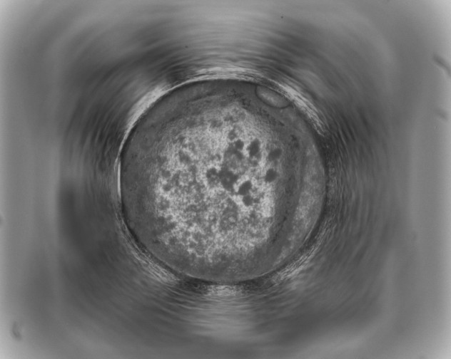 X0000096451275200802071803