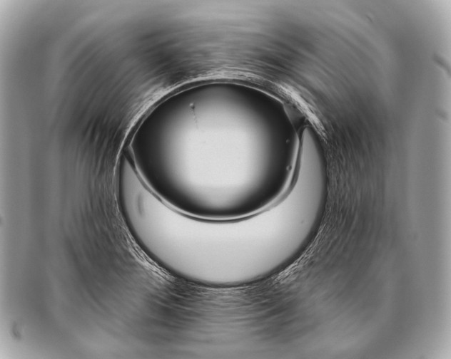 X0000096451276200802071803